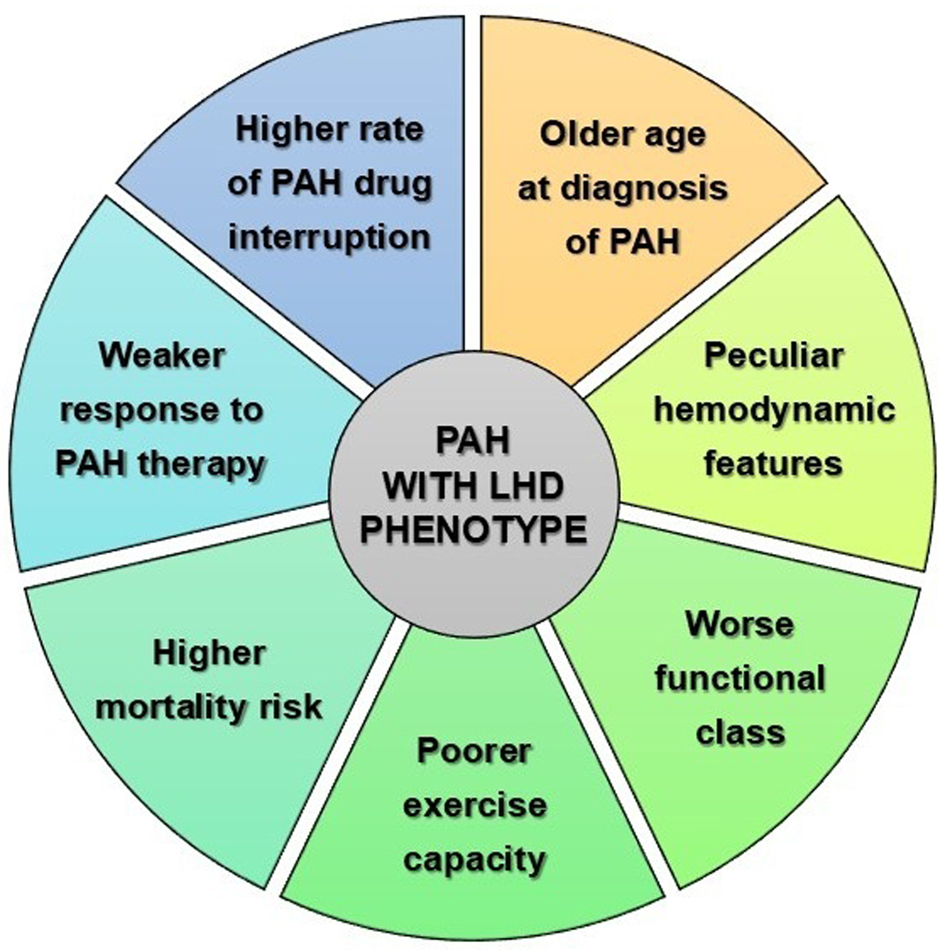 Pulmonary Arterial Hypertension and Left Heart Disease Phenotype: A Challenging Crossroad